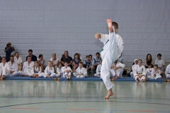 IMG_4810_bearbeitet-1