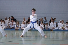 IMG_4830_bearbeitet-1