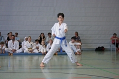 IMG_4831_bearbeitet-1