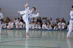 IMG_4846_bearbeitet-1