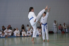 IMG_4860_bearbeitet-1