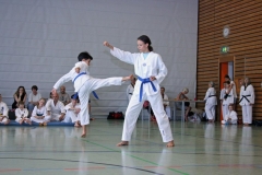 IMG_4870_bearbeitet-1