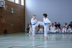 IMG_4879_bearbeitet-1