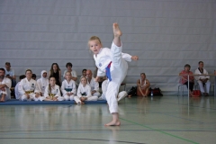 IMG_4899_bearbeitet-1