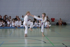 IMG_4929_bearbeitet-1