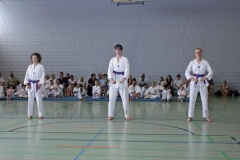 IMG_4937_bearbeitet-1