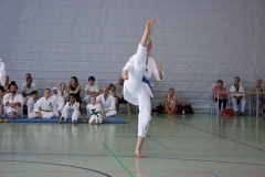 IMG_4943_bearbeitet-1