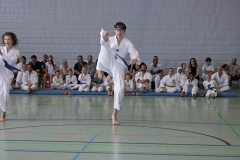 IMG_4945_bearbeitet-1