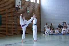 IMG_4956_bearbeitet-1