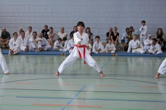 IMG_4980_bearbeitet-1