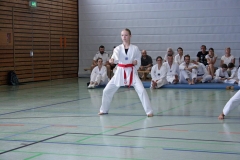 IMG_4982_bearbeitet-1