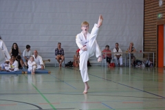 IMG_4987_bearbeitet-1