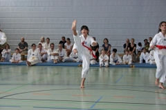 IMG_4989_bearbeitet-1