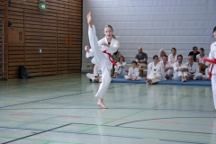 IMG_4990_bearbeitet-1