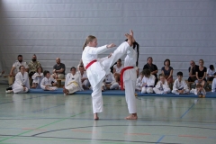 IMG_5002_bearbeitet-1