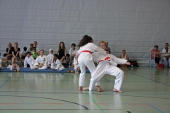 IMG_5022_bearbeitet-1