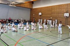 IMG-20260322-WA0029_bearbeitet-1