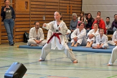 IMG-20260322-WA0040_bearbeitet-1