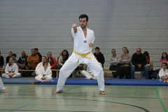 IMG_8517_bearbeitet-1