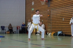 IMG_8519_bearbeitet-1