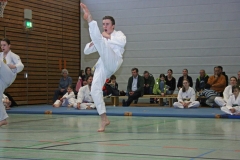 IMG_8528_bearbeitet-1