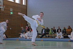 IMG_8532_bearbeitet-1