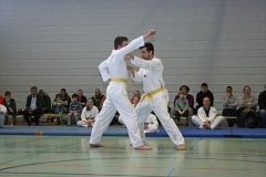 IMG_8540_bearbeitet-1