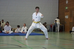 IMG_8561_bearbeitet-1