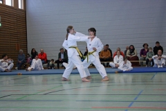 IMG_8580_bearbeitet-1