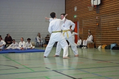 IMG_8581_bearbeitet-1