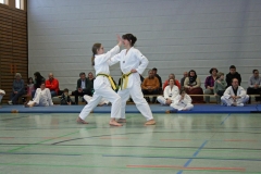 IMG_8582_bearbeitet-1