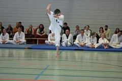 IMG_8602_bearbeitet-1