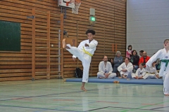 IMG_8603_bearbeitet-1