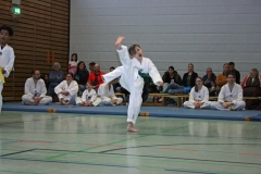 IMG_8604_bearbeitet-1