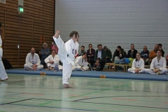 IMG_8610_bearbeitet-1