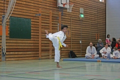 IMG_8611_bearbeitet-1