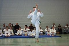 IMG_8639_bearbeitet-1