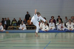 IMG_8641_bearbeitet-1