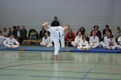 IMG_8642_bearbeitet-1