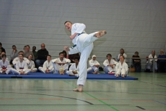 IMG_8643_bearbeitet-1