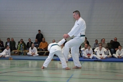 IMG_8652_bearbeitet-1