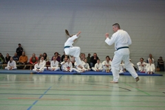 IMG_8664_bearbeitet-1