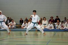 IMG_8672_bearbeitet-1