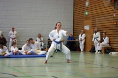 IMG_8673_bearbeitet-1