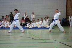 IMG_8677_bearbeitet-1