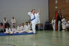 IMG_8678_bearbeitet-1