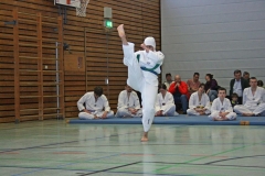 IMG_8681_bearbeitet-1