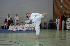 IMG_8683_bearbeitet-1