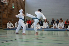 IMG_8703_bearbeitet-1