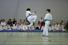 IMG_8710_bearbeitet-1